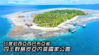 嫦娥奔南北極 皮亞內莫國家公園 四王群島中的隱秘海洋奇觀 被譽為世界頂級的潛水天堂【第一百六十三集】Travel around and discover the wonders of life