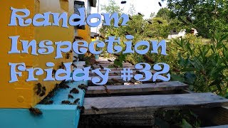 Shaking Bees - Random Inspection Friday #32