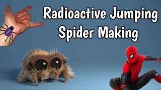 RADIOACTIVE JUMPING SPIDER MAKING / Spiderman ആകണോ ഈ spider നെ ഉണ്ടാക്കി നോക്കൂ