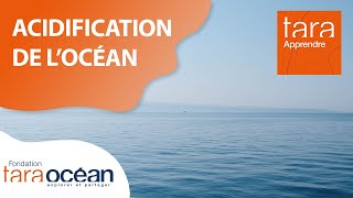 TarApprendre : pH et acidification de l'Océan