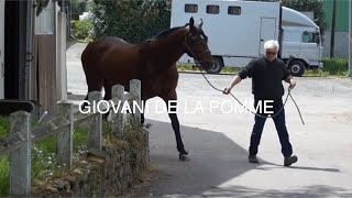 Rencontre avec... GIOVANI DE LA POMME