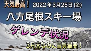 3月25日　八方ゲレンデ状況　快晴！雪質最高！