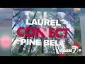 wdam promo connect to the pine belt christmas laurel 2024 15