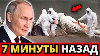 Пророчество СБЫЛОСЬ! Река Евфрат высохла, и произошло нечто СТРАШНОЕ!» Послание от БОГА сегодня