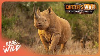 The Disturbing Reality Of Animal Poaching | Carter's WAR S1E1 | 4K