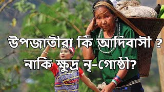 উপজাতিরা কি আদিবসী ? নাকি ক্ষুদ্র নৃ গোষ্ঠী ?  আদিবসী আন্দলন , বান্দরবন ,চাকমা,Adibasi .