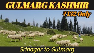 Gulmarg 😍| Srinagar to Gulmarg Kashmir | Dal Gate Srinagar to Gulmarg