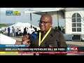 Pule Letshwiti-Jones speaks to minister of Transport Fikile Mbalula