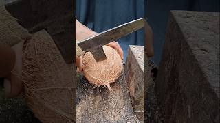 Tricks to remove coconut from its shell