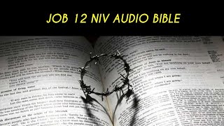 JOB 12 NIV AUDIO BIBLE