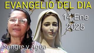 Evangelio Del Dia Hoy - Martes 14 Enero 2025- Sangre y Agua