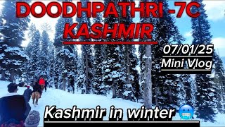 Doodhpathri in winter 🥶-7C | Kashmir in winter 🥶 | doodhpathri #video