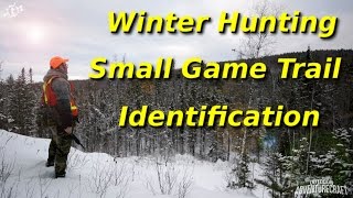 Winter Hunting \u0026 Small Game Trail Identification