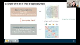 Spatially informed cell-type deconvolution for spatial transcriptomics