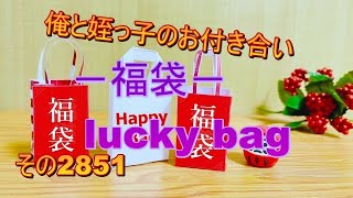 俺と姪っ子のお付き合い－福袋－その2851 lucky bag