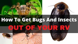 RV Pest Control - How To Remove Bugs And Insects