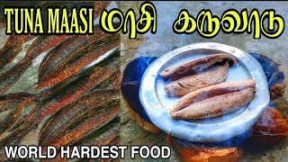 #How #maasi #karuvadu #made | மாசி கருவாடு செய்யலாம் வாங்க |world hardest food| Pamban Meenavan