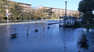 台風19号！大洪水！川越越辺川氾濫！