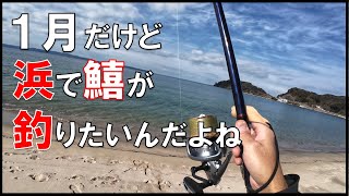 【キス釣り】1月浜でキス釣りチャレンジ糸島・唐津