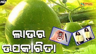 Lau Ra Upakarita | ଲାଉ ର ଉପକାରିତା | Odia Health Tips | Health Park