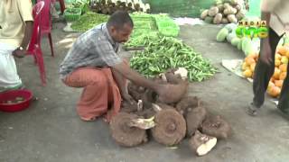 Organic vegetables ready for Vishu