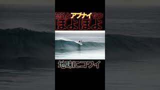 サーフィンこわい⑦「バックウォッシュ」 #surfing #surf #サーフィン