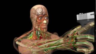 IDEAS-Meggitt Training Systems