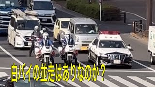 警察　白バイ　白バイがやって来た！並走はあり？？偶然パトカー隣り合わせ、挨拶する白バイ隊員！#警察24時 #警察 #警察官 #警視庁 #パトロール#白バイ #白バイの取締