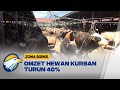 Pantauan Harga Hewan Kurban