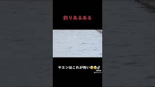 天草　通詞　エギング　釣り