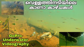 തനി നാടൻ മീൻപിടിത്തം GoPro-യിൽ പകർത്തിയപ്പോൾ | fish trap bottle |