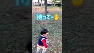 【日常一コマ】待ってーとお友達を追跡❗️公園で大はしゃぎ🎵/【21months baby】#赤ちゃん  #childcare #baby #bebe