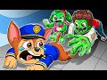 Brewing Cute Pregnant & Cute Baby! But What Happenned? - Funny Story | Paw Patrol Ultimate Rescue