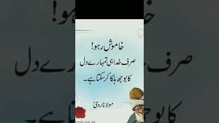 Maulana Rumi Said //Rumi Quotes in Urdu// #shorts #urduaqwal 🌺