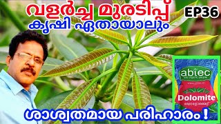 5 രൂപ ചിലവിൽ വളർച്ചാ മുരടിപ്പ് മാറ്റാം. മണ്ണിന്റെ PH Level ക്രമീകരണം. Dolomite Malayalam EP36 ganesh