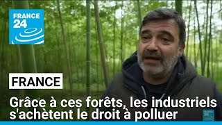 Ces agriculteurs français plantent des bambous pour vendre aux industriels le droit de polluer