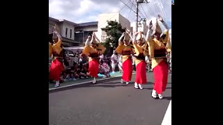 いなせ連　2012　草加宿場まつり　阿波踊り