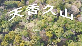 犬と散歩 [ 209-大和三山で最も神聖視される天香久山　空陸から4K映像で御案内！]　明日香　奈良　Walking with a dog around Asuka, Nara, Japan