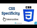 05 - How CSS Specificity works and why is it so important