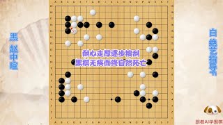 围棋解说：绝艺指导F，不急于抢空也不急于攻击，耐心走厚搜刮黑棋无疾而终｜围棋讲解