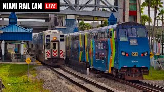 ๐ด LIVE Miami Rail Cam | Metrorail Transfer Station | Trains 24/7
