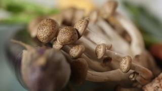 The Matsutake (Pine) Mushroom is a highly-prized item on the Pacific Coast