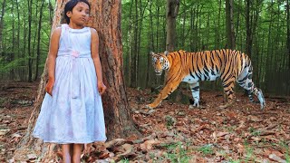 tiger attack man in the forest | tiger attack in jungle, royal bengal tiger attack Full movie