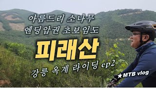 강원도 임도 / 마지막 긴 다운힐  질주 압권 / 강릉 옥계 EMTB 라이딩 ep2/ Gangreung Okgye  MTB riding