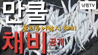 [ 만쿨채비 풀치루어낚시 채비법 ] 만쿨한 채비방법 초보 풀치낚시 채비방법 한쿨러 채운 채비법.