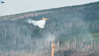 Waldbrand am Brocken   HarzAir