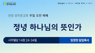 정녕 하나님의 뜻인가ㅣ임정현 담임목사