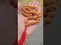 5 mukhi rudraksha mala high quality mala