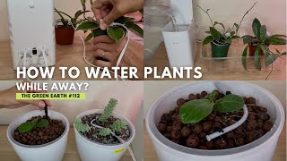 #112 : How to Keep your Plants Watered while on Vacation? | GrowCube - A Smart Watering Kit