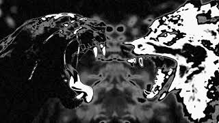 MORGVE • LA PANTHERE ( Rotten Wolf Remix )